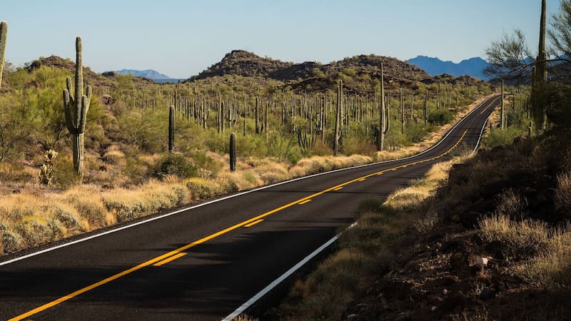 En 2020, Phoenix pintó 58 km de calles para solucionar el calor extremo: el asfalto bajó 7 °C, pero nadie pensó en los peatones