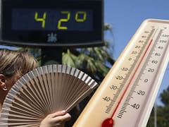 Se viene una ola de calor histórica de cinco días: será con temperaturas extremas, riesgo de sequía y peligro de incendio