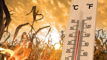 Alerta climática en el país: llega una ola de calor que partirá la tierra en dos y dejará a todos estos estados en riesgo de sequía