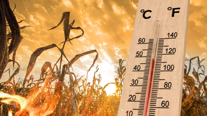 El SMN alerta alerta roja por calor extremo en México