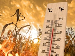 Confirmado | Nueva racha de calor: el Servicio Meteorológico pronosticó temperaturas máximas de 34 grados para este miércoles 6 de mayo