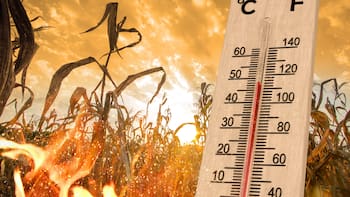Confirmado | Nueva racha de calor: el Servicio Meteorológico pronosticó temperaturas máximas de 34 grados para este miércoles 6 de mayo