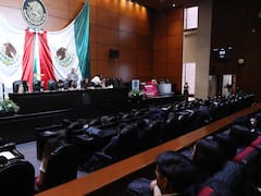 Agua gratis y tope de precios para comida e hidratación en espectáculos: el proyecto de Ley que promete entregar una canasta básica para espectadores