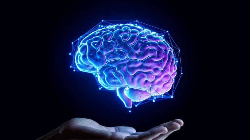 La neurociencia explica que existen cuatro tipos de mente dominantes —analítica, procedimental, empática y creativa— y que cada una procesa la información y toma decisiones de forma distinta. Fuente: Shutterstock.