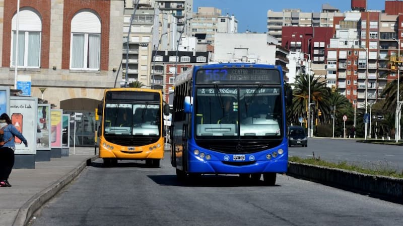 Cambian los colectivos en Buenos Aires | Cuatro líneas modificarán sus recorridos y ahora pasarán por estas calles. Foto: La Capital