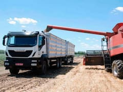 El contagio de la guerra llega al campo y los dólares de la cosecha: los costos más allá del petróleo