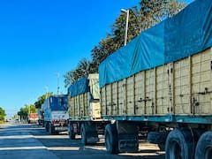 Aluvión de granos: pese al retraso de la cosecha, el ingreso de camiones toca un récord en el Gran Rosario