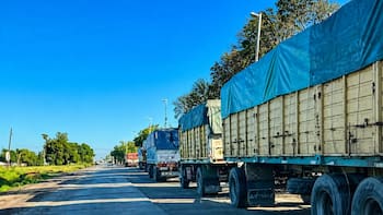 Aluvión de granos: pese al retraso de la cosecha, el ingreso de camiones toca un récord en el Gran Rosario
