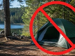 Adiós al campamento tradicional: la nueva tendencia que viene de Estados Unidos y lo reemplaza para siempre