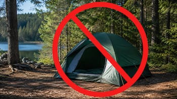 Adiós al campamento tradicional: la nueva tendencia que viene de Estados Unidos y lo reemplaza para siempre