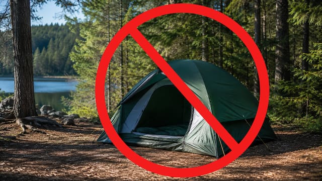 Adiós al campamento tradicional: la nueva tendencia que viene de Estados Unidos y lo reemplaza para siempre