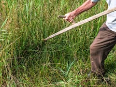 Guerra en Medio Oriente: La crisis de fertilizantes que amenaza los precios en México