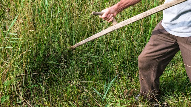 Guerra en Medio Oriente: La crisis de fertilizantes que amenaza los precios en México