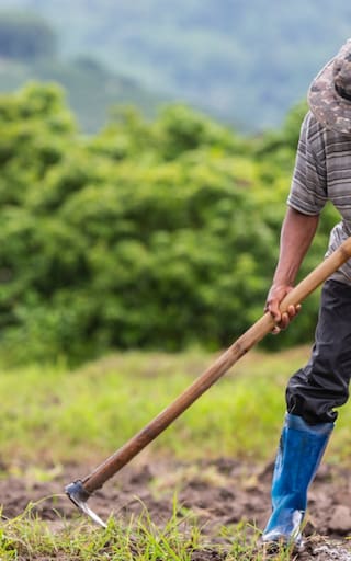 Campesinos del Cauca se movilizan contra el posible regreso de las fumigaciones con glifosato