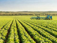 Gracias a IRSA, Cresud revirtió pérdidas y tuvo ganancias por $ 194.000 millones en seis meses