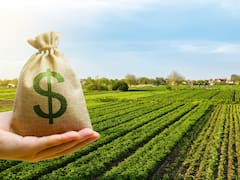 El dólar que quiere el campo y el “aumento exponencial” que se viene