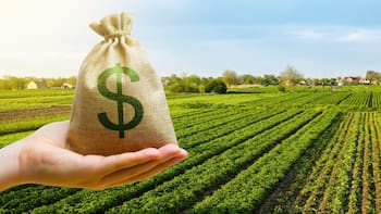 El dólar que quiere el campo y el “aumento exponencial” que se viene