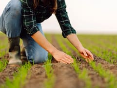 Medida oficial | El Gobierno confisca tierras de agricultores para construir un aeropuerto de jets privados y depósitos corporativos