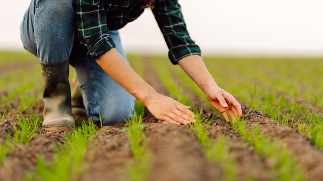 Medida oficial | El Gobierno confisca tierras de agricultores para construir un aeropuerto de jets privados y depósitos corporativos