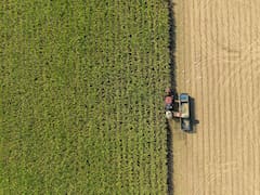 Adecoagro sale de compras y se mete en una industria donde Brasil domina cómodo
