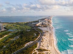 Buscan voluntarios para vivir en Cancún: ofrecen alojamiento gratis y deben cuidar perros