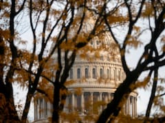 Estados Unidos: con salarios impagos, vuelos afectados y sin asistencia social, volvería a funcionar el gobierno tras un cierre récord