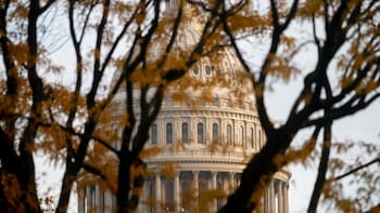 Estados Unidos: con salarios impagos, vuelos afectados y sin asistencia social, volvería a funcionar el gobierno tras un cierre récord