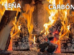 Carbón o leña para el asado: qué conviene comprar, cuál hace mejores brasas y en qué se diferencian