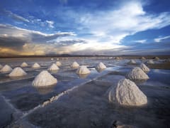 Primer RIGI para una empresa china: cuánto exportará el polémico proyecto