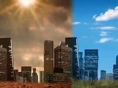 Carbono azul: el “santo grial” qué está en manos de México y podría salvar el planeta de una catástrofe