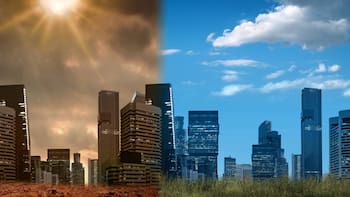 Carbono azul: el “santo grial” qué está en manos de México y podría salvar el planeta de una catástrofe