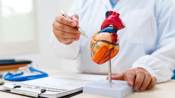 Ni caminata, ni bicicleta, ni gimnasio: el mejor ejercicio para cuidar el corazón y mejorar la circulación