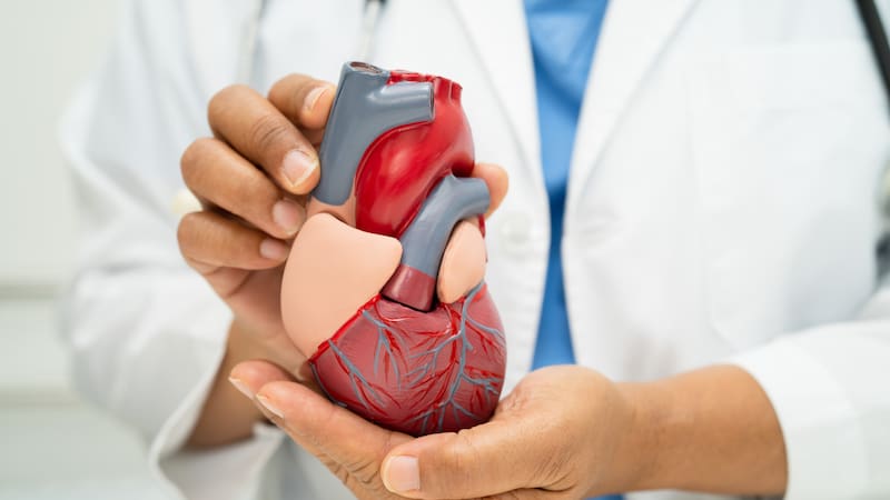 Ni caminata, ni gimnasio, ni bicicleta fija: el ejercicio ideal para fortalecer el corazón y mejorar la circulación sanguínea