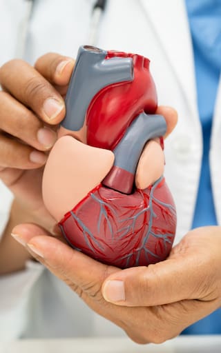 Ni caminata, ni bicicleta, ni gimnasio: el mejor ejercicio para cuidar el corazón y mejorar la circulación