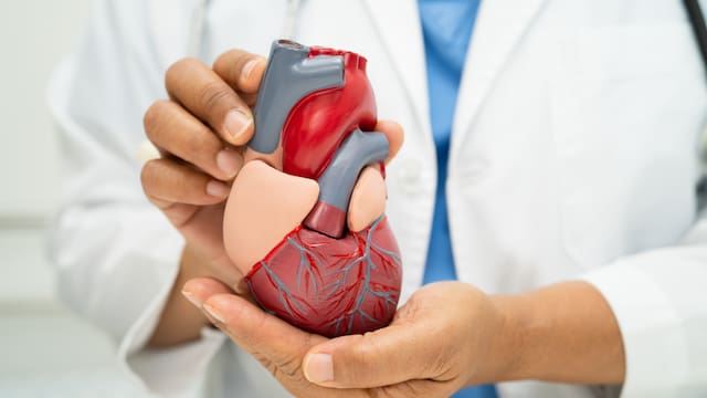 Ni caminata, ni gimnasio, ni bicicleta: el ejercicio vital para cuidar el corazón y mejorar la circulación