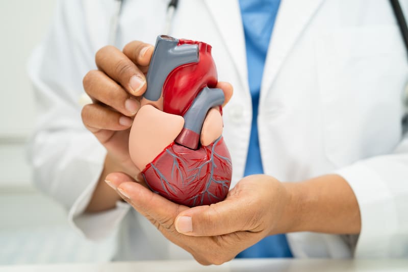 Ni caminata, ni gimnasio, ni bicicleta fija: el ejercicio ideal para fortalecer el corazón y mejorar la circulación sanguínea