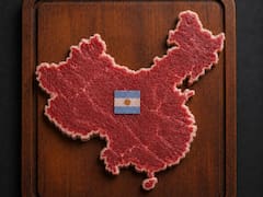 “Yo los conozco”: tres frigoríficos logran acceso al mayor mercado global de la carne argentina