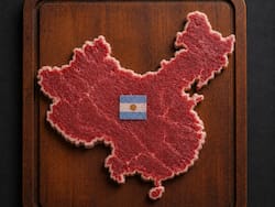 “Yo los conozco”: tres frigoríficos logran acceso al mayor mercado global de la carne argentina