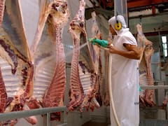 Carne argentina afuera del nuevo cupo de EE.UU: las razones de la decisión y quién será el gran ganador