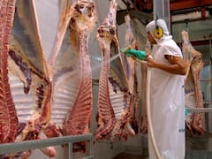 La carne argentina en el centro de la tormenta: el campo canadiense le teme al acuerdo con el Mercosur