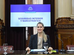 Régimen de armas en agenda: el Senado busca avanzar en una ley clave