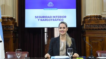 Armas en la mira: el Senado acelera un plan clave para ordenar la seguridad