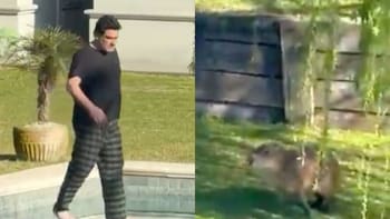 Un vecino le disparó a los carpinchos en Nordelta y causó indignación