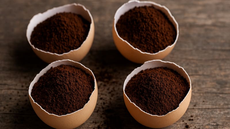 <div class="migrated-promo-image__description"><div class="migrated-promo-image__source">Fuente: Copilot (imagen ilustrativa)</div></div>