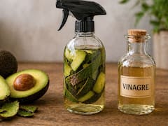 Mezclar cáscara de aguacate con vinagre: para qué sirve y por qué miles lo recomiendan