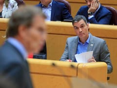El CIS da al PSOE una ventaja de 11,8 puntos sobre el PP tras el caso Maricarmen y el adelanto electoral