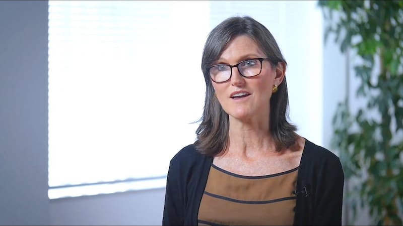 Cathie Wood es el cerebro detrás de Ark Invest.