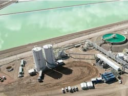 Pide entrar al RIGI una inversión de u$s 1200 millones en un sector clave