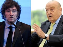 Por qué el riesgo país sigue alto, según Cavallo: el límite del ajuste fiscal y la reforma que falta