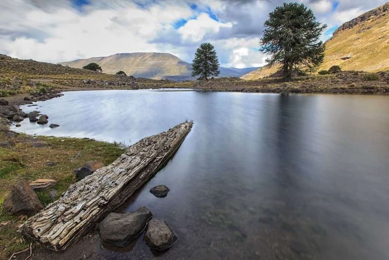 Laguna Hualcupen es una laguna de agua dulce